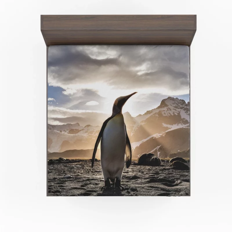 Emperor Penguin Basking in Sunbeam Fitted Sheet 1