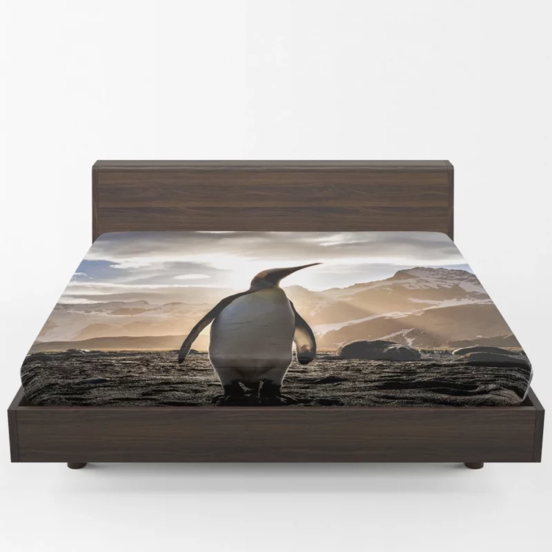 Emperor Penguin Basking in Sunbeam Fitted Sheet