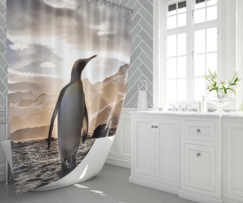 Emperor Penguin Basking in Sunbeam Shower Curtain 1