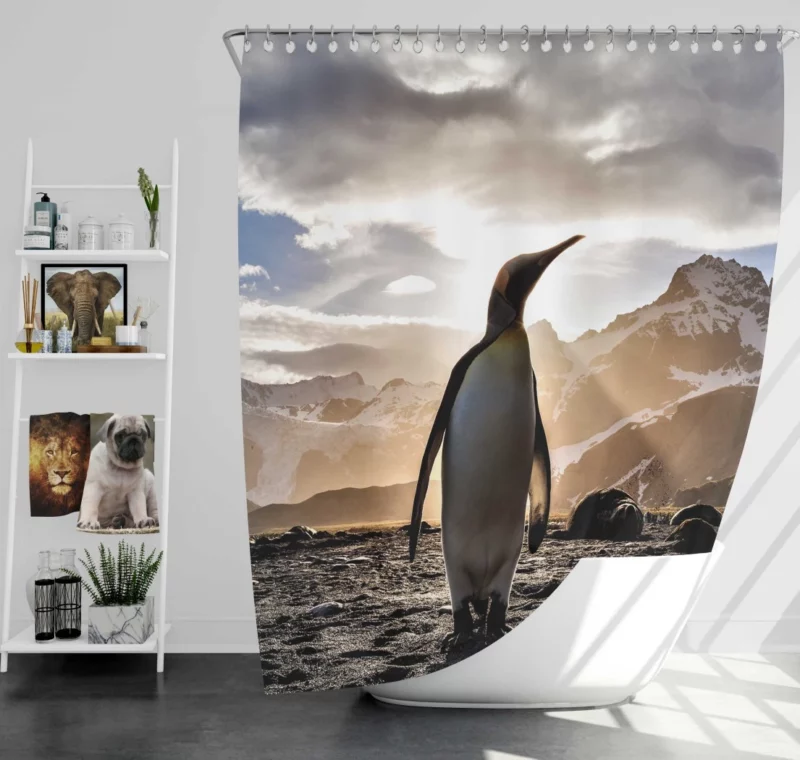 Emperor Penguin Basking in Sunbeam Shower Curtain