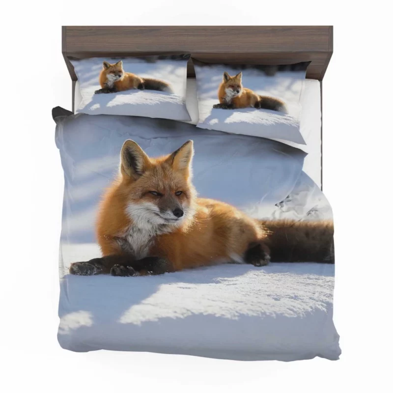 Enchanted Wilderness Fox Snow Bedding Set 1