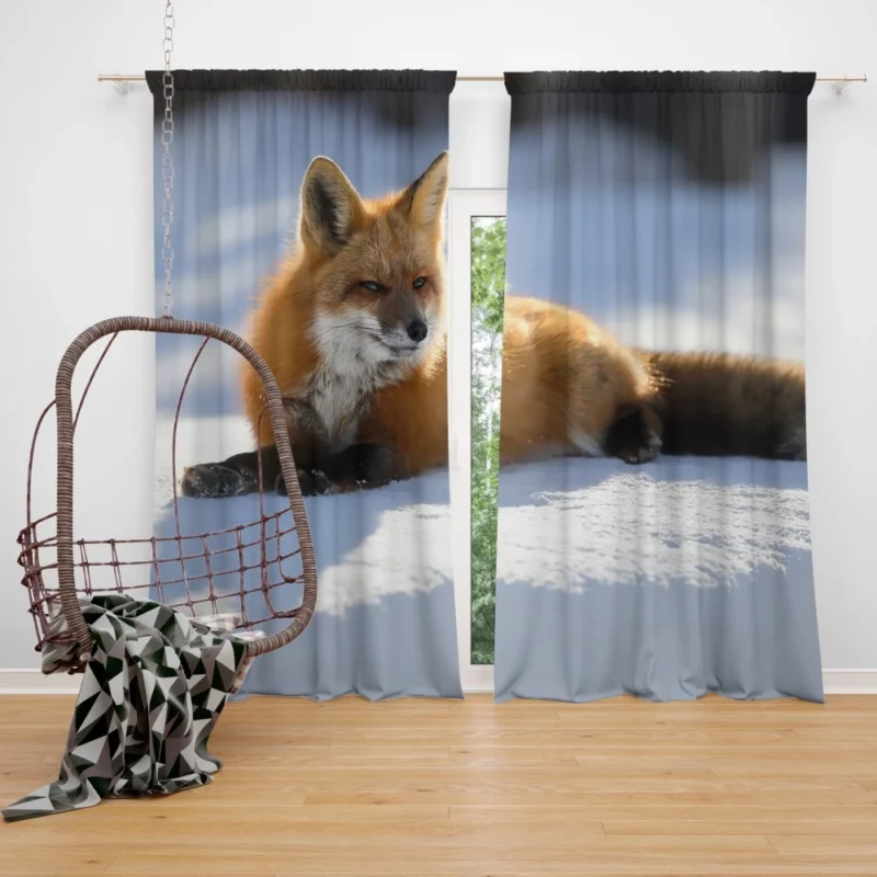 Enchanted Wilderness Fox Snow Curtain