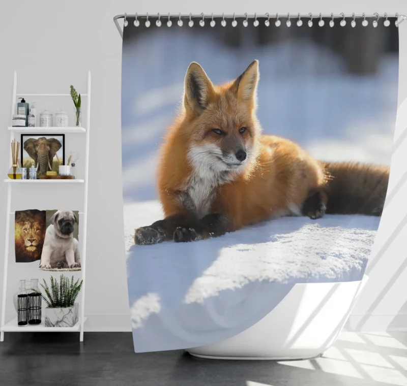 Enchanted Wilderness Fox Snow Shower Curtain