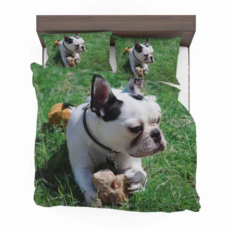 Endearing Expression French Bulldog Charm Bedding Set 1