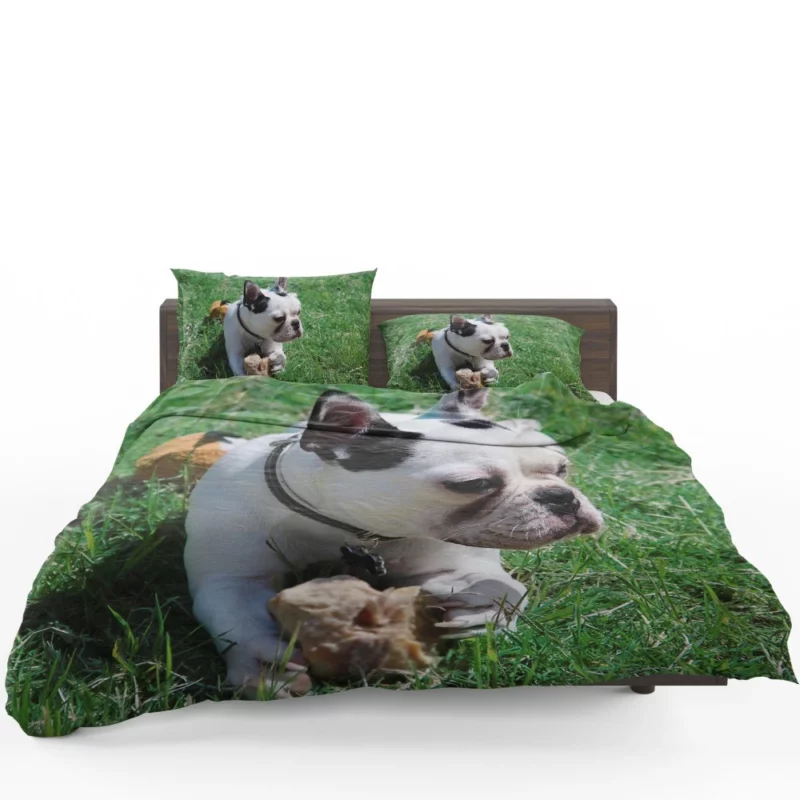 Endearing Expression French Bulldog Charm Bedding Set