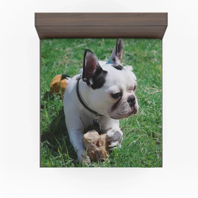 Endearing Expression French Bulldog Charm Fitted Sheet 1