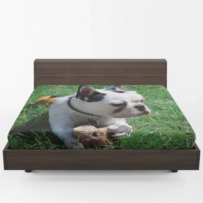 Endearing Expression French Bulldog Charm Fitted Sheet