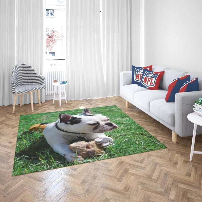 Endearing Expression French Bulldog Charm Rug 2