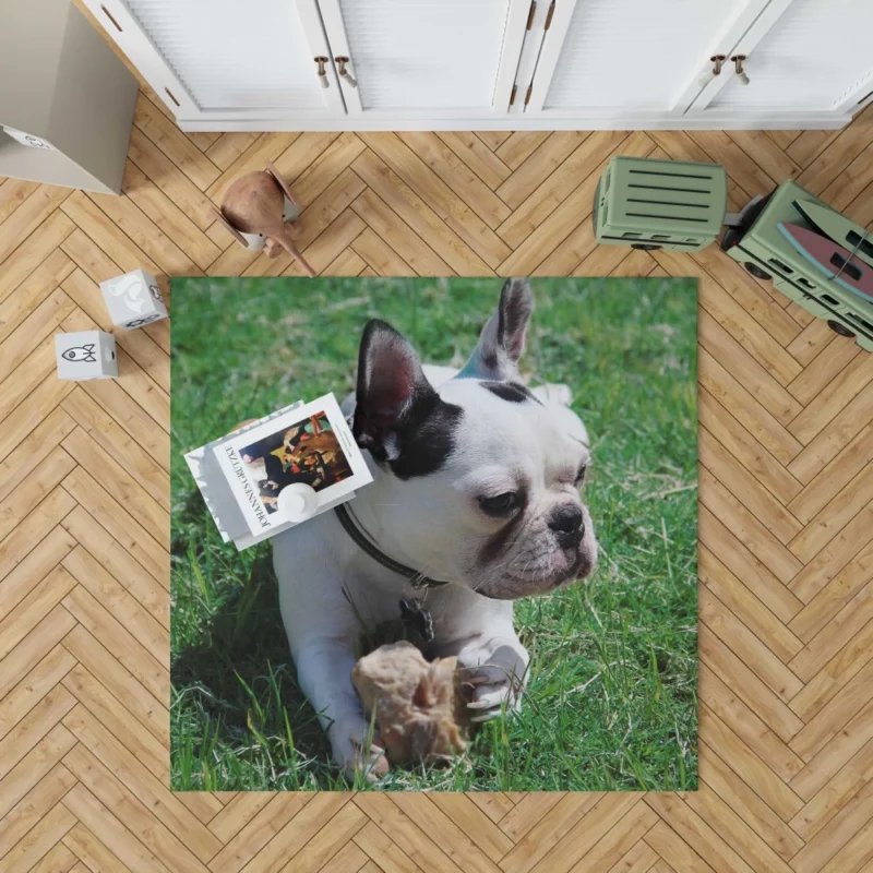 Endearing Expression French Bulldog Charm Rug