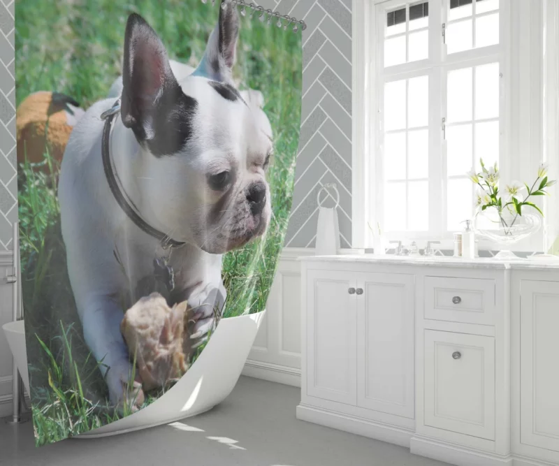 Endearing Expression French Bulldog Charm Shower Curtain 1