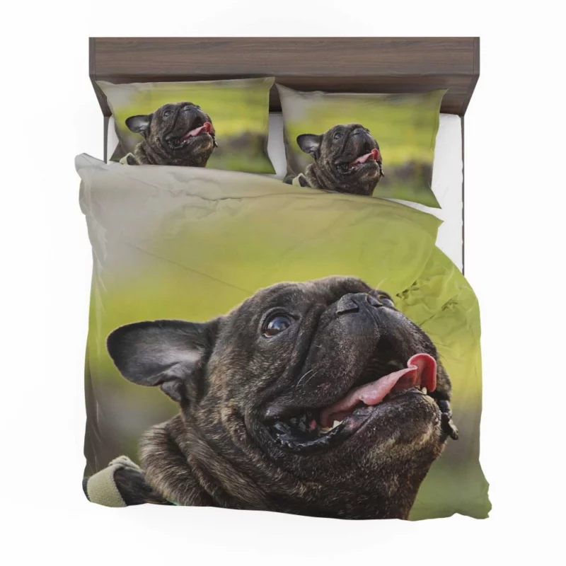 Endearing French Bulldog Expressive Charm Bedding Set 1