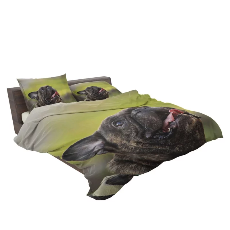 Endearing French Bulldog Expressive Charm Bedding Set 2