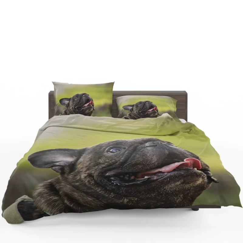 Endearing French Bulldog Expressive Charm Bedding Set