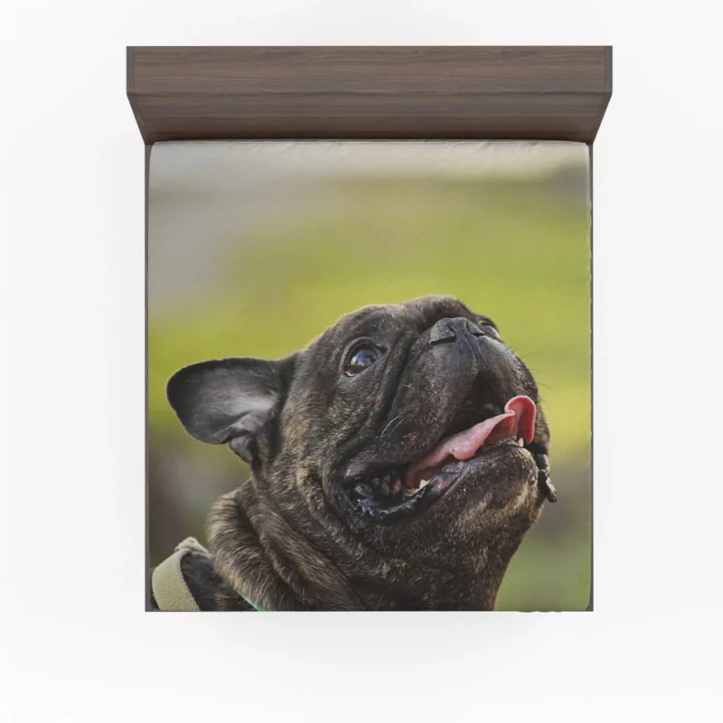 Endearing French Bulldog Expressive Charm Fitted Sheet 1