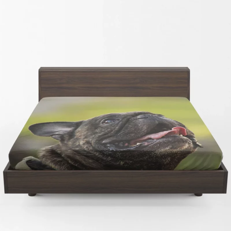 Endearing French Bulldog Expressive Charm Fitted Sheet