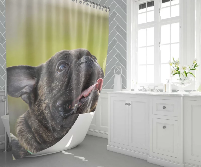 Endearing French Bulldog Expressive Charm Shower Curtain 1