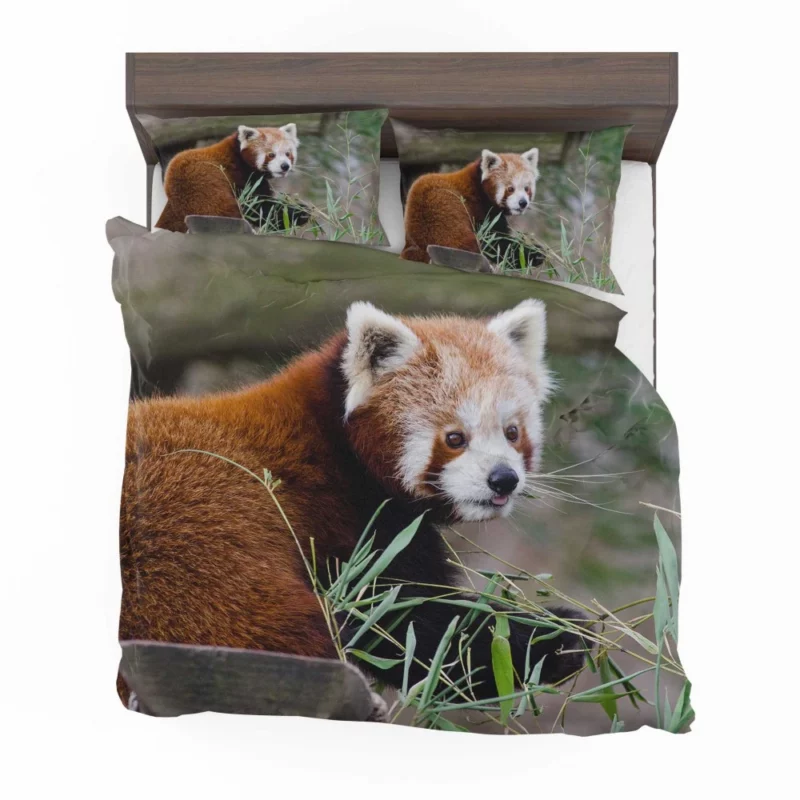 Endearing Red Panda Bedding Set 1