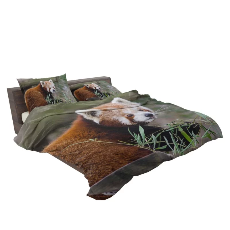 Endearing Red Panda Bedding Set 2