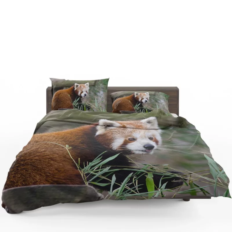 Endearing Red Panda Bedding Set