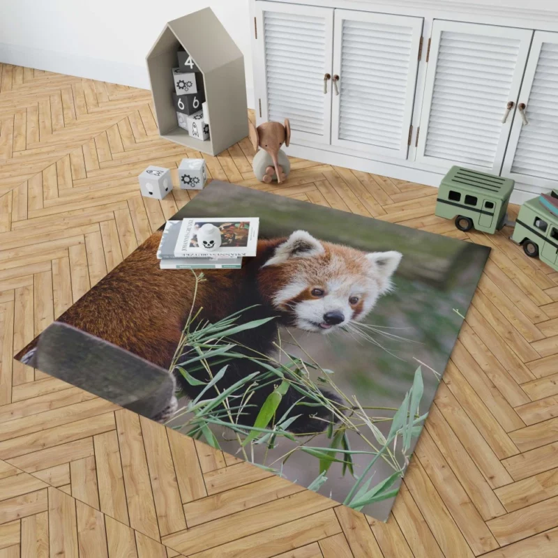 Endearing Red Panda Rug 1