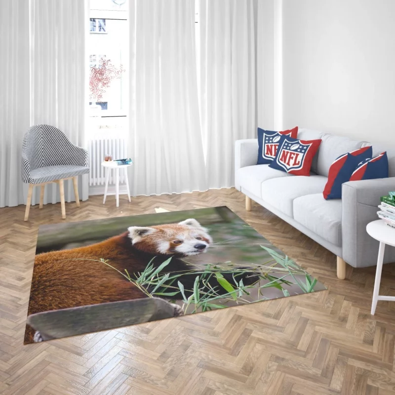 Endearing Red Panda Rug 2