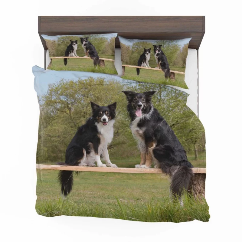 Energetic Border Collie Dynamic Charm Bedding Set 1