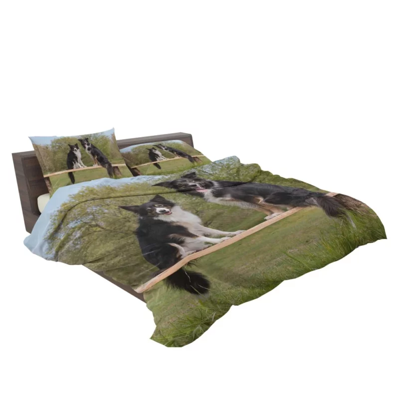 Energetic Border Collie Dynamic Charm Bedding Set 2