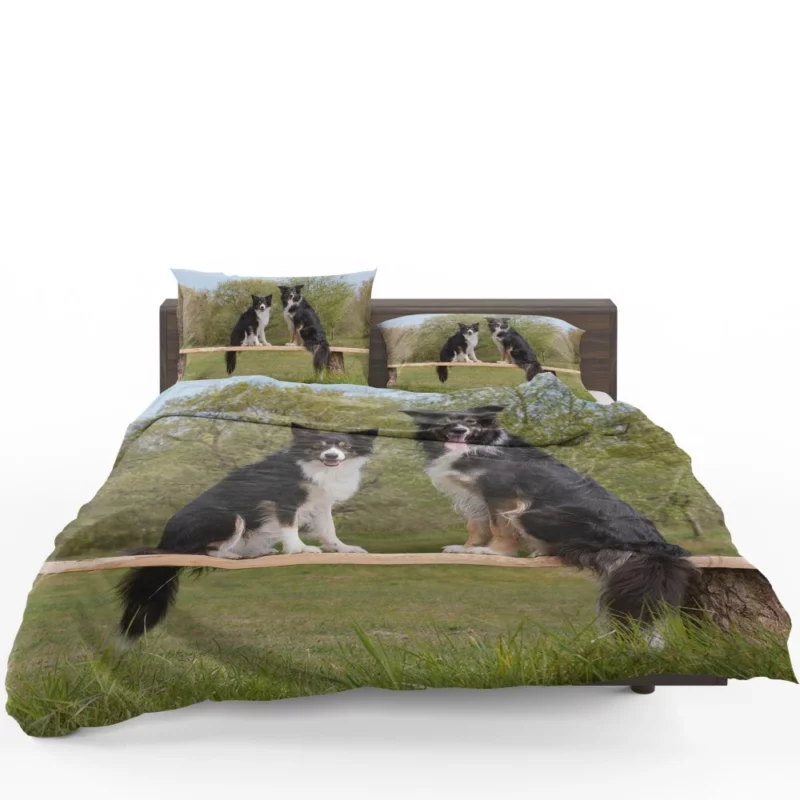 Energetic Border Collie Dynamic Charm Bedding Set