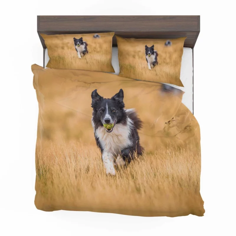 Energetic Border Collie Field Run Bedding Set 1