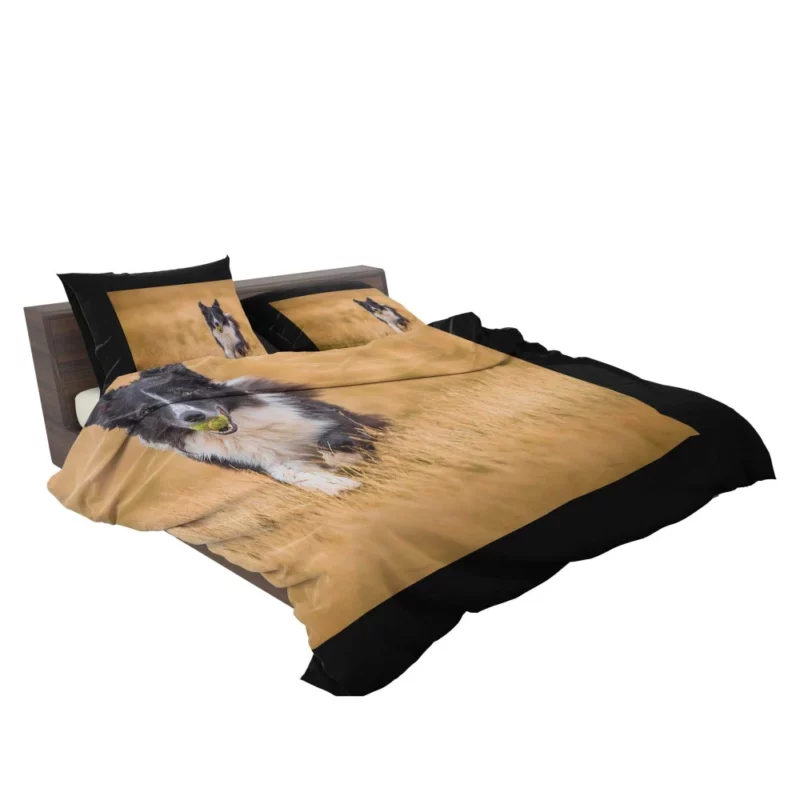 Energetic Border Collie Field Run Bedding Set 2