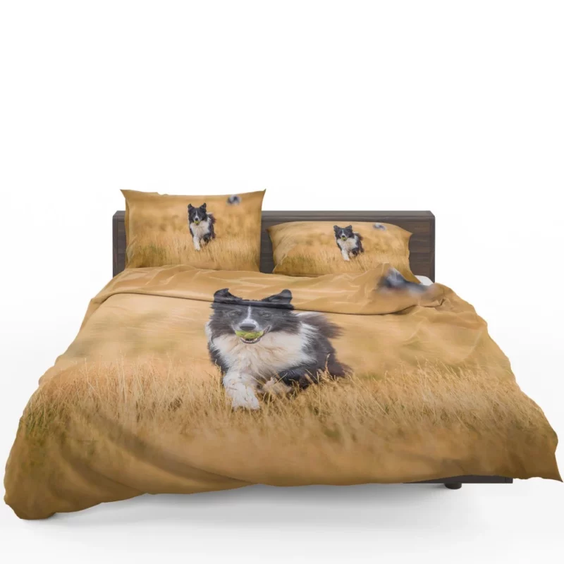 Energetic Border Collie Field Run Bedding Set