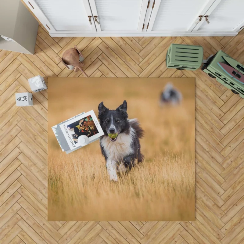 Energetic Border Collie Field Run Rug