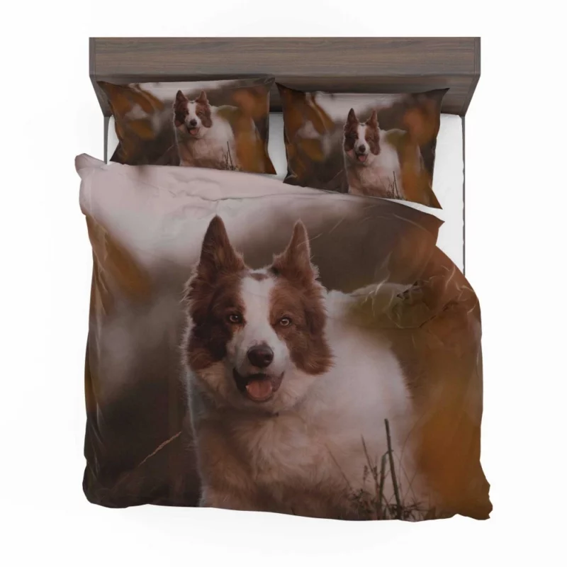 Energetic Charm Border Collie Bedding Set 1