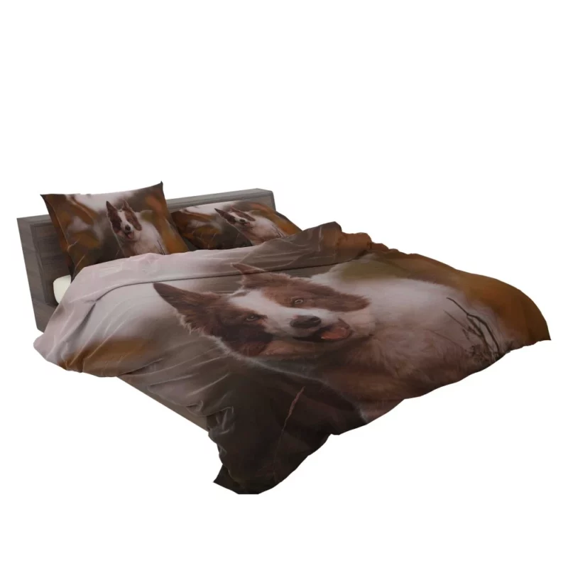 Energetic Charm Border Collie Bedding Set 2