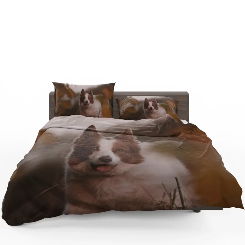 Energetic Charm Border Collie Bedding Set