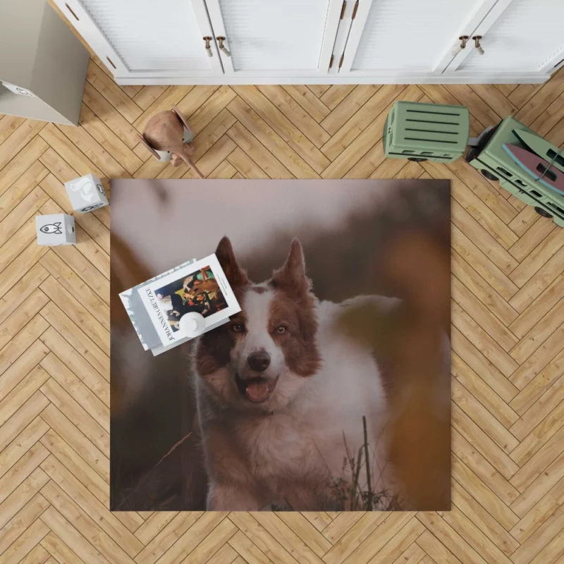 Energetic Charm Border Collie Rug