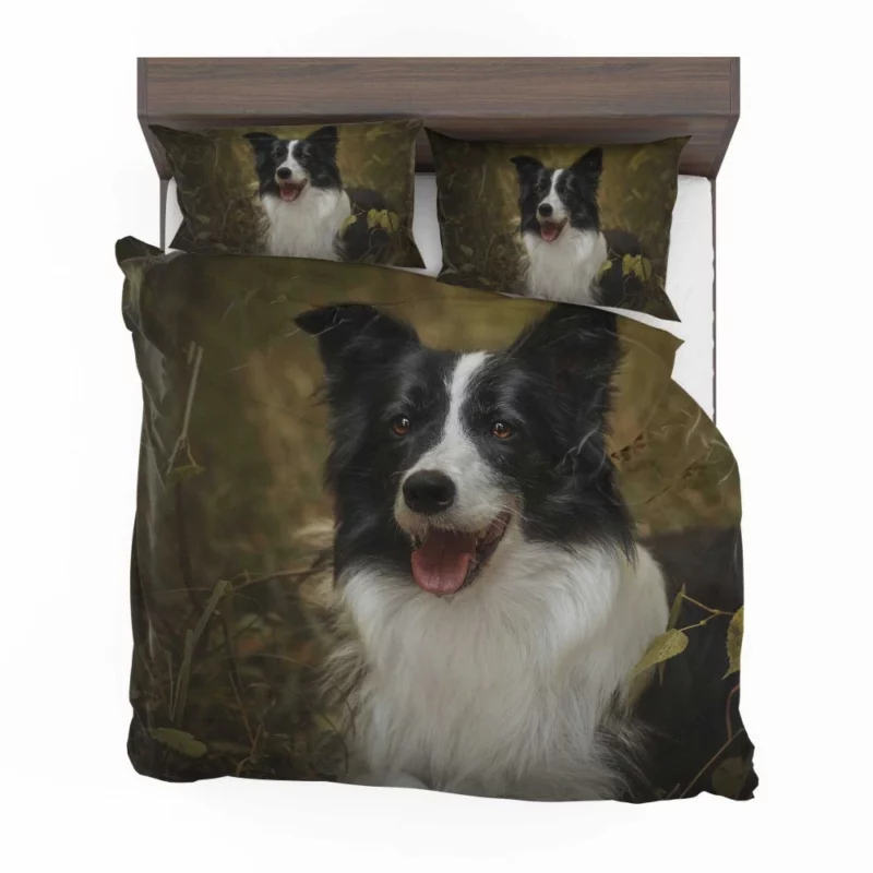 Energetic Essence Border Collie Bedding Set 1