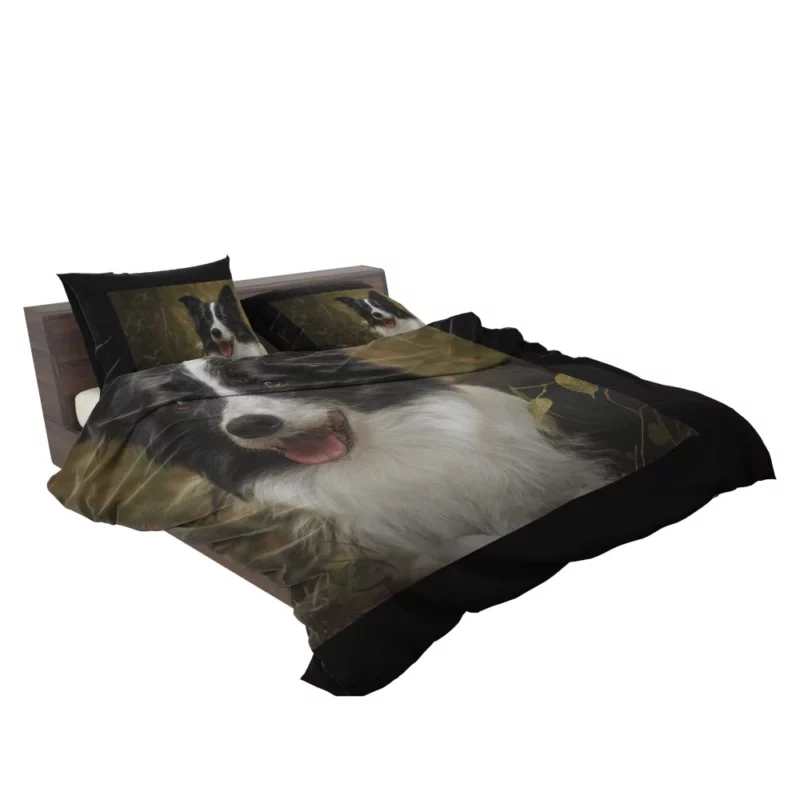 Energetic Essence Border Collie Bedding Set 2