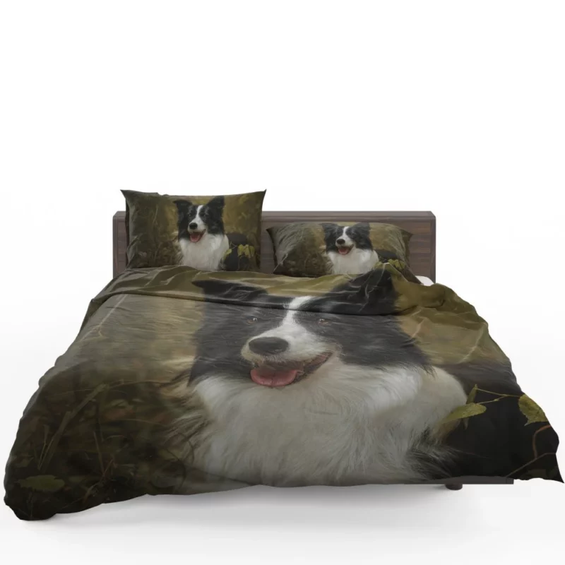 Energetic Essence Border Collie Bedding Set