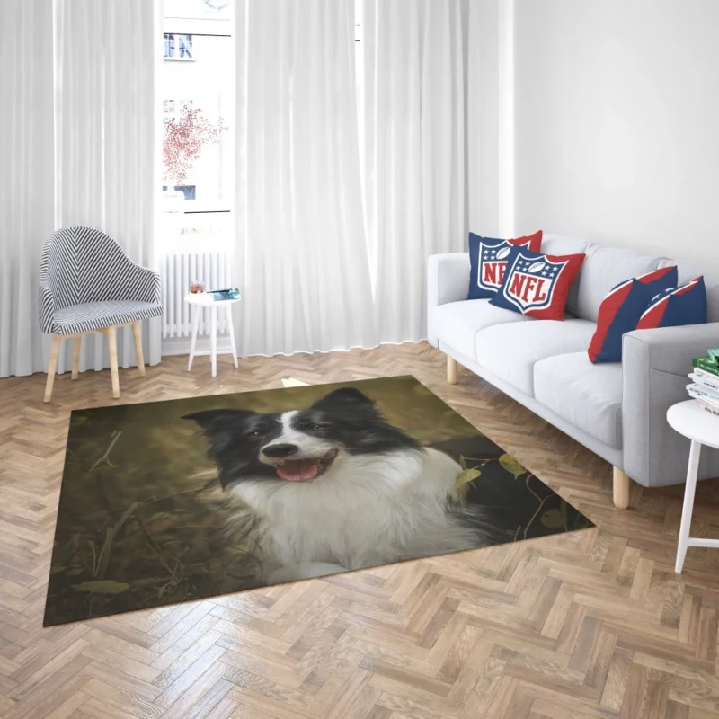 Energetic Essence Border Collie Rug 2