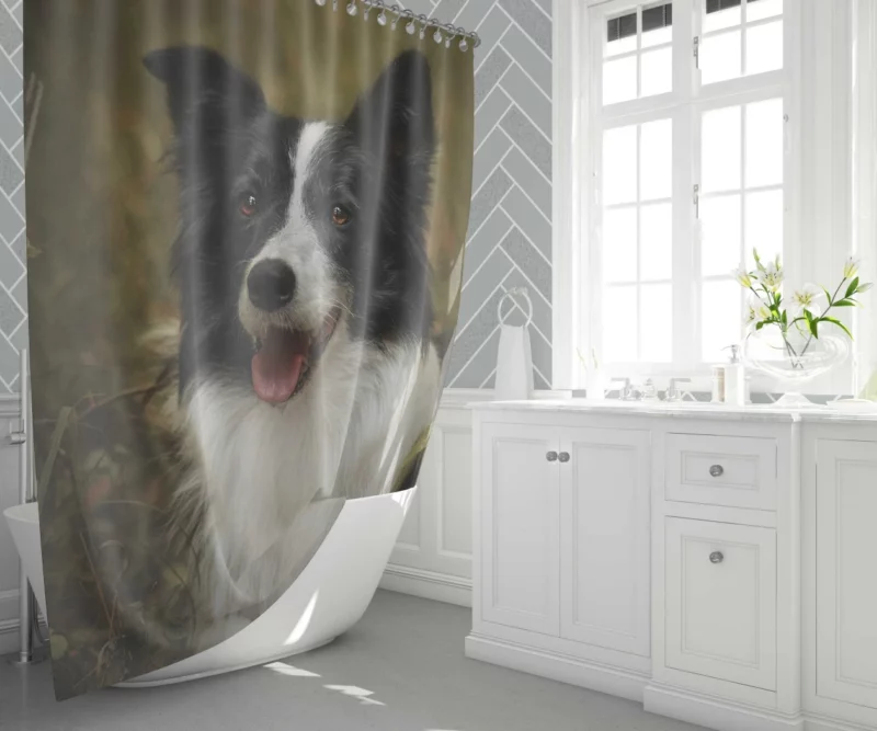 Energetic Essence Border Collie Shower Curtain 1