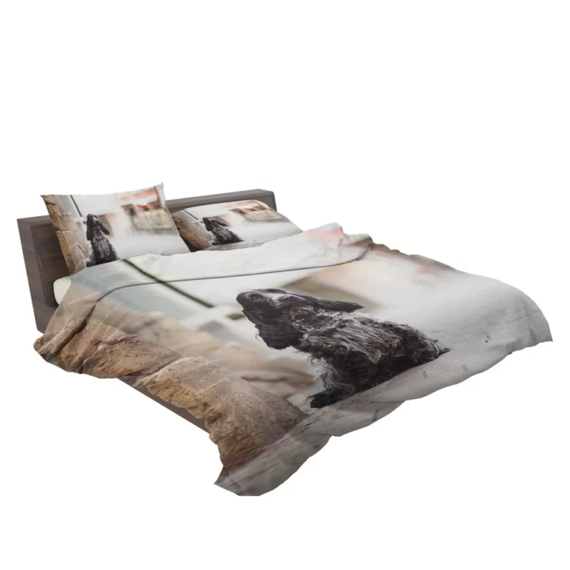 English Cocker Spaniel Depth of Field Bedding Set 2