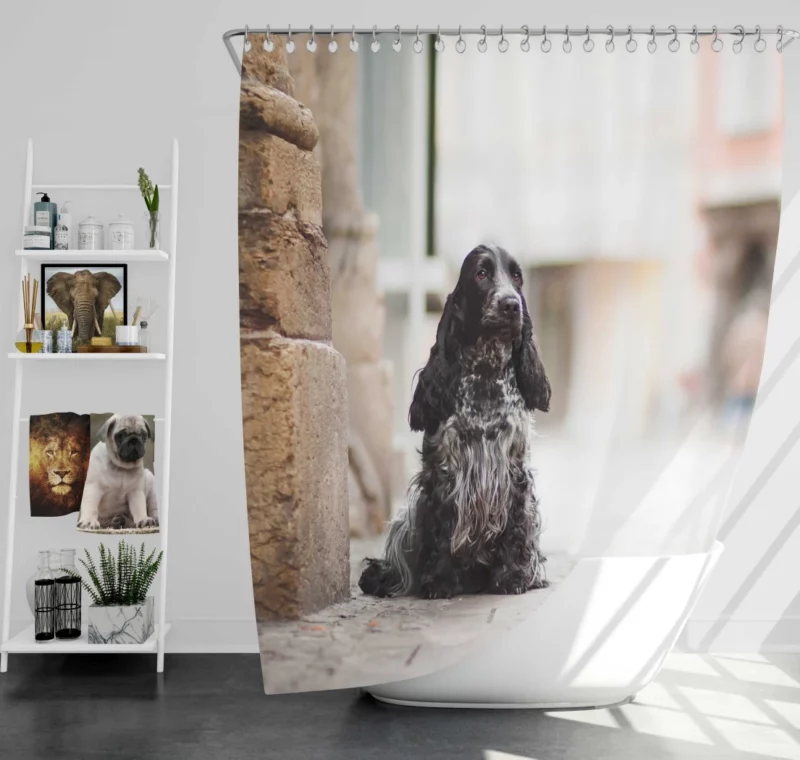 English Cocker Spaniel Depth of Field Shower Curtain