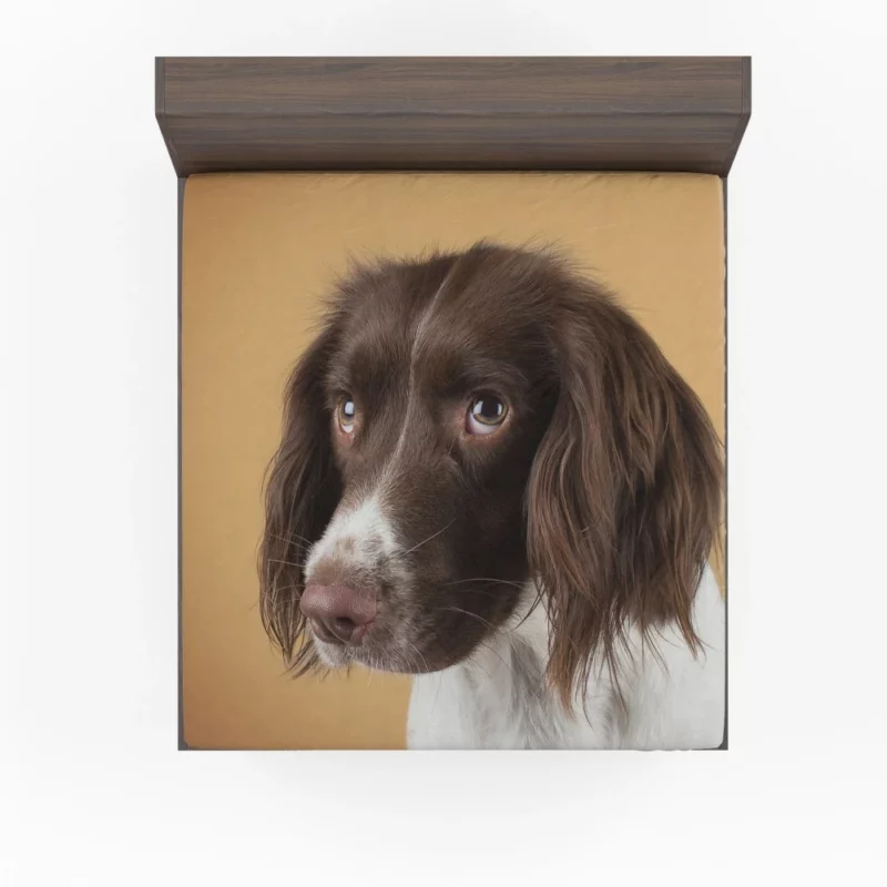 English Springer Spaniel Lively Companion Fitted Sheet 1