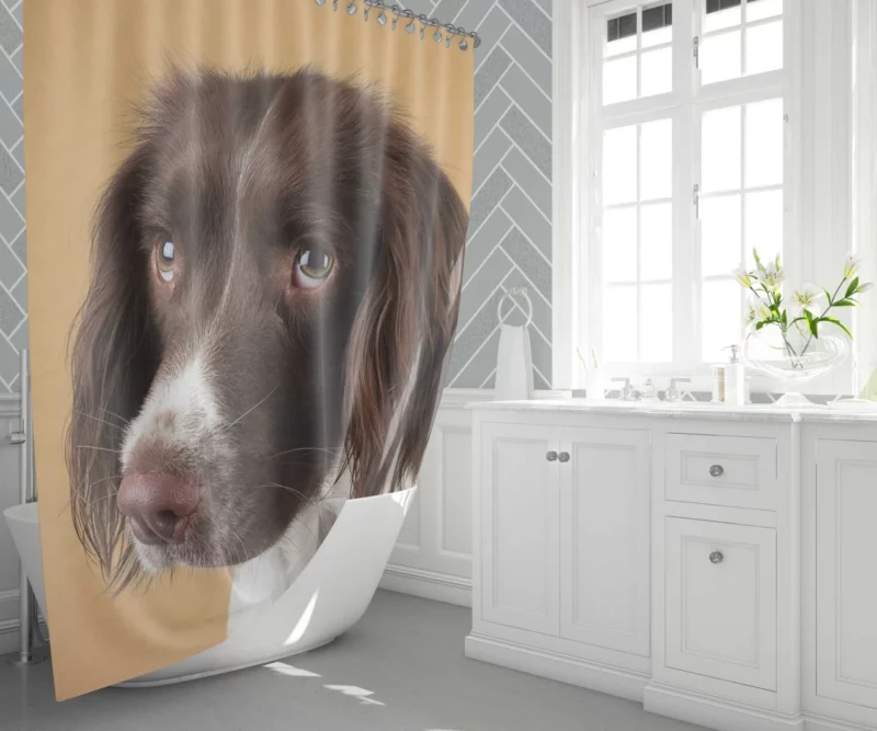 English Springer Spaniel Lively Companion Shower Curtain 1