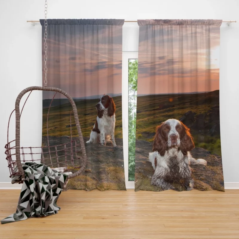 English Springer Spaniel Rustic Charm Curtain