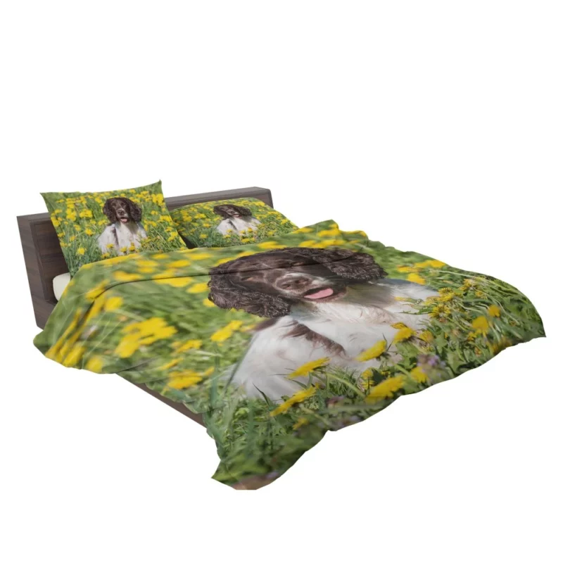 English Springer Spaniel Yellow Adventure Bedding Set 2