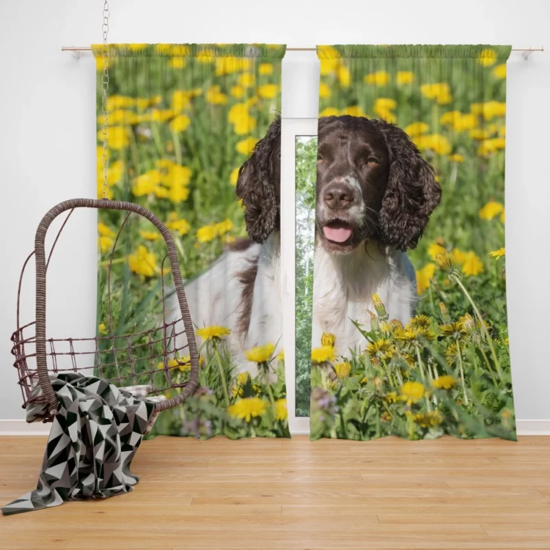 English Springer Spaniel Yellow Adventure Curtain