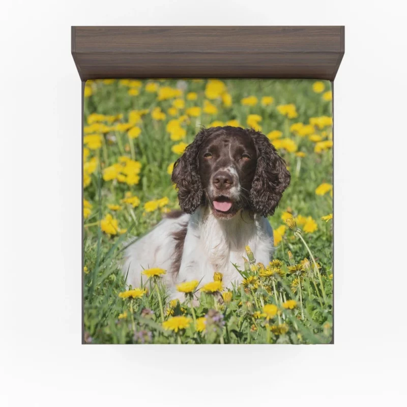 English Springer Spaniel Yellow Adventure Fitted Sheet 1