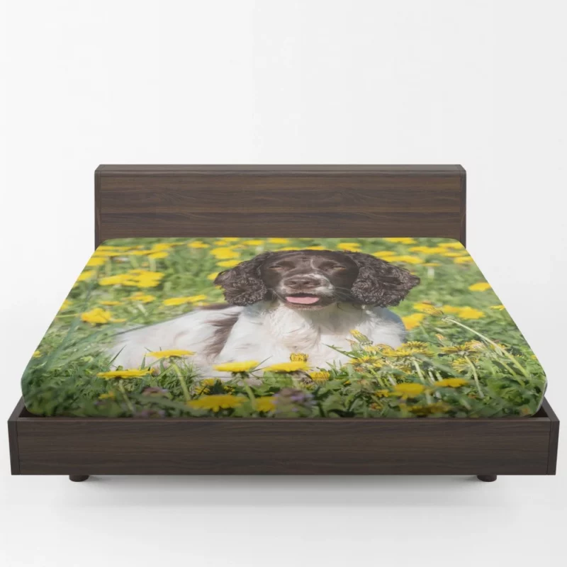 English Springer Spaniel Yellow Adventure Fitted Sheet